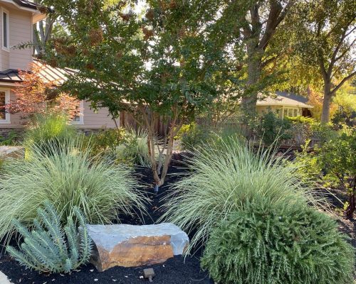 landscaping2