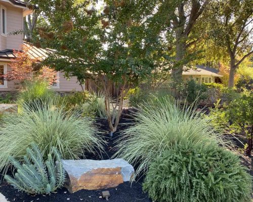 Beautiful landscaped garden with trees, shrubs, and decorative rocks.